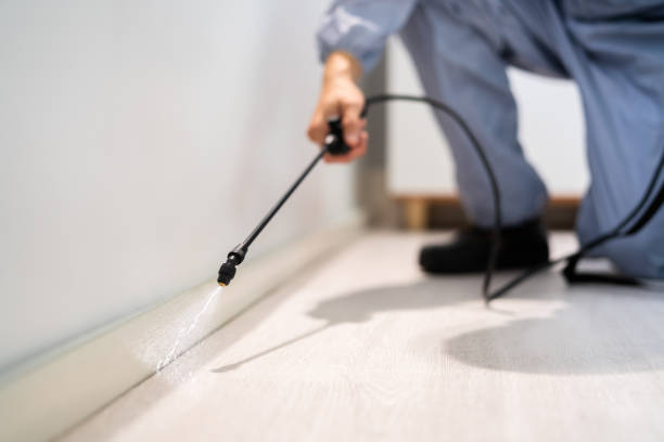 Professional exterminator conducting IPM assessment in Elburn
